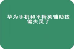 和平精英硬件辅助效果是什么（和平精英使用硬件辅助）